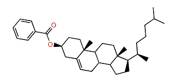 Cholest-5-en-3b-yl benzoate